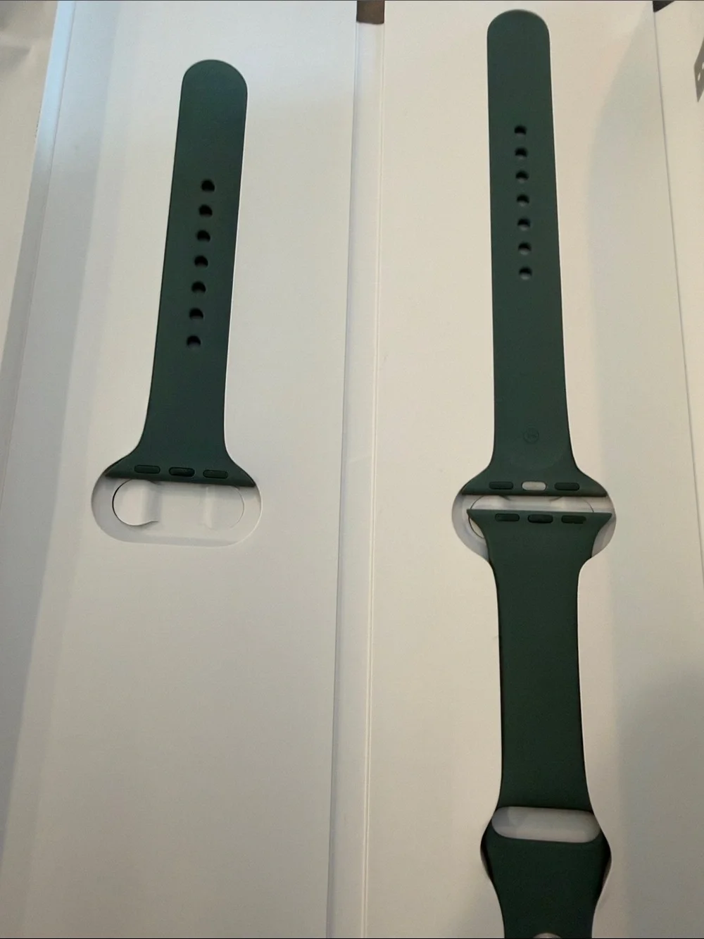 Apple Watch Sport Band Pine Green 40MM